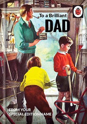 Birthday Card Ladybird Happy Birthday Card Gift Congratulations Cards